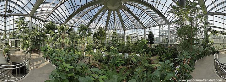 Palmengarten - Tropicarium