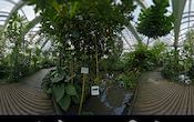 Palmengarten - Tropicarium - Feuchte Tropen - Mangrove