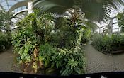 Palmengarten - Tropicarium - Feuchte Tropen - Monsunwald