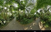 Palmengarten - Tropicarium - Feuchte Tropen - Regenwald