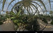 Palmengarten - Tropicarium - Trockene Tropen - Dornwald